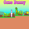 Cano Bunny – Mastering the Dynamic Platformer Adventure
